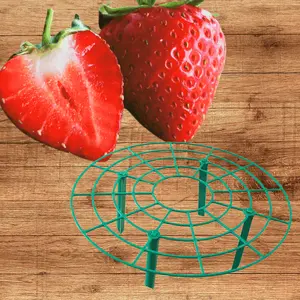 June-Bearing Strawberry Plants + Strawberry Supports | Bare Root Strawberries | Large Sweet Berries | USA-Made Supports | Hand Picked Nursery