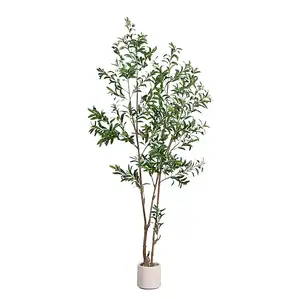 7 ft Minimalist Olive Tree in White Planter
