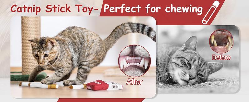 Nocciola 3 Pack Catnip Toys for Cats, Funny Cat Toys Filled with 100% Pure Organic Catnip, Safe Kitten Teething Chew and Kicker Toys, Stress Relieving Fun for Indoor Cats