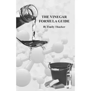 USED-The Vinegar Formula Guide by Emily Thacker (Paperback)