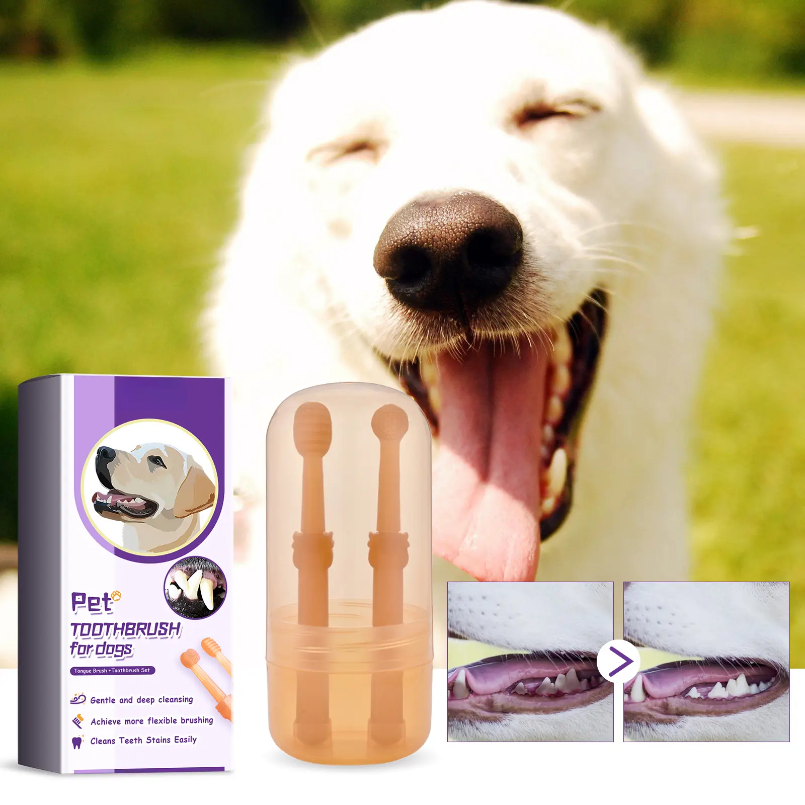 Pet Toothbrush and Tongue Scraper Set for Dogs and Cats, Soft Silicone Small Head Dental Care Brush Kit with Portable Storage Case for Daily Oral Hygiene
