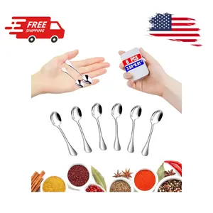 6PCS Mini Stainless Steel Spoons (Upgraded Larger Size 3.54 inch)