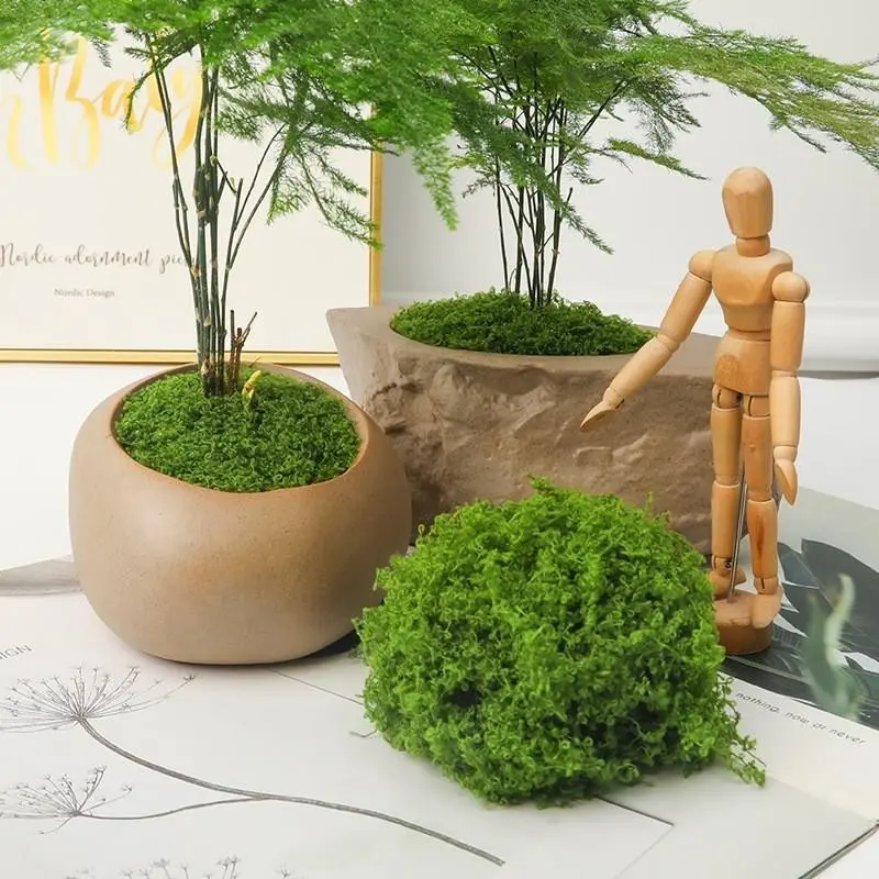 Handmade Moss Decor Artificial Plant Craft Floral Garden Wedding Festival Table Centerpiece Decoration (50g)