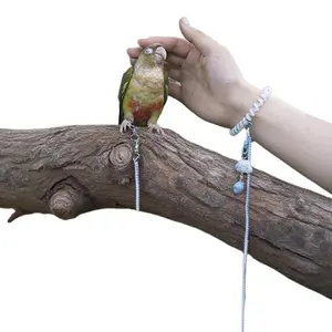 The special flying rope for parrots is ultra-light and does not hurt the feet. Tiger skin, peony, Xuanfeng laser goes out. The traction rope is retractable and the bird walking rope is retractable.