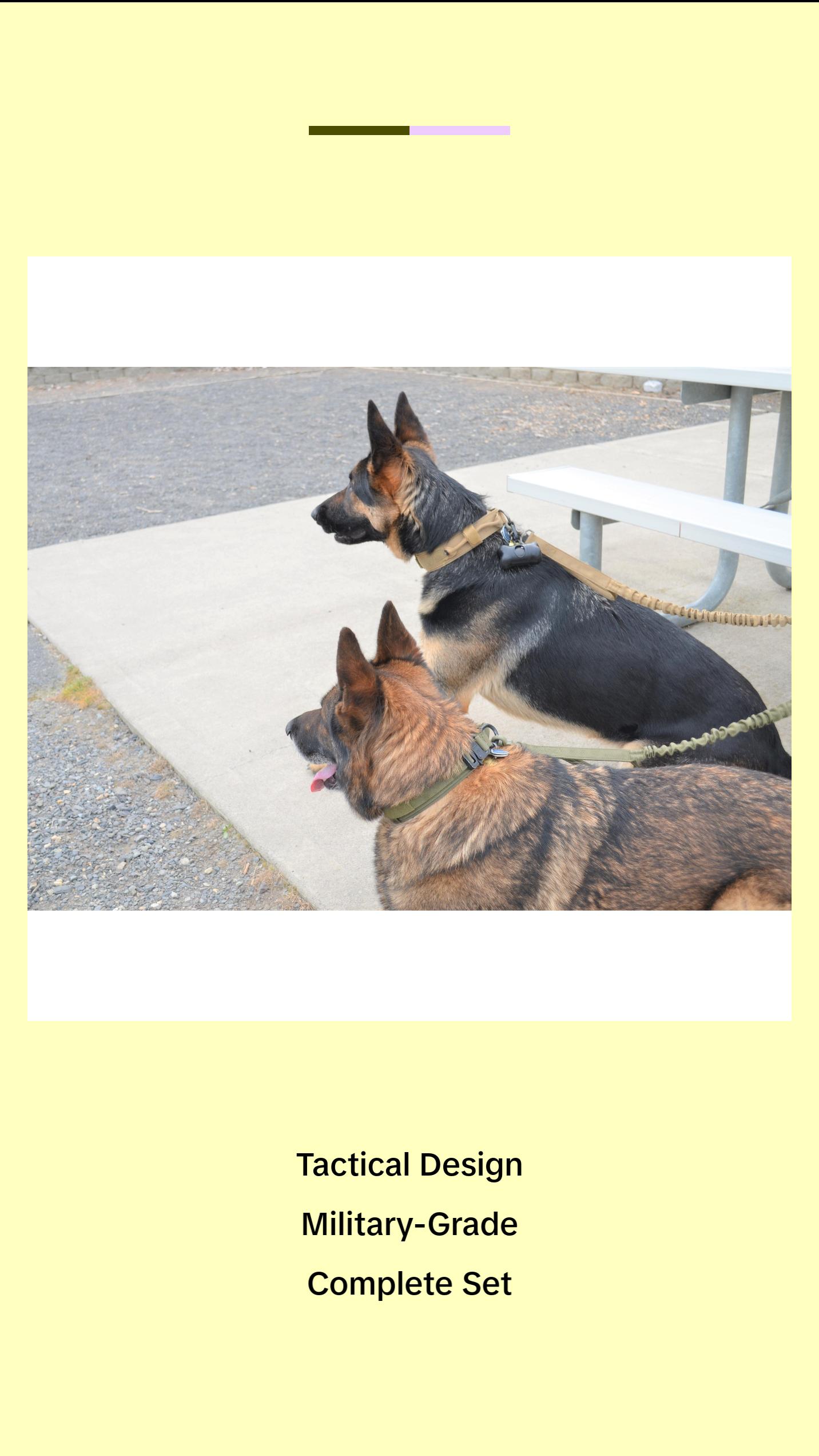 Tactical Dog Gear Set - Military-Grade Harness, Collar & Leash