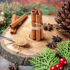 Tis the Season Type Fragrance Oil