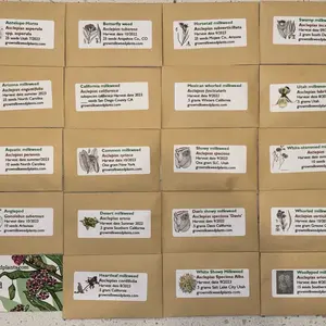 Ultimate Milkweed Seed Bundle Natural