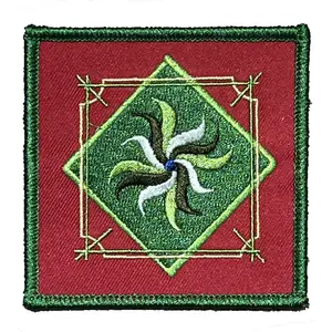 NEVS Patch