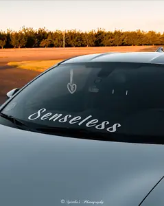 Senseless Car Windshield Banner