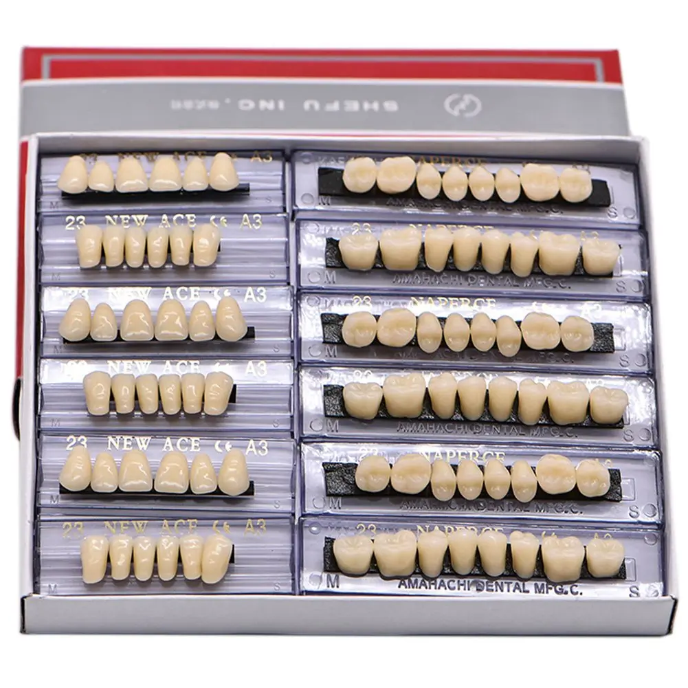 False  for Halloween -  Denture  Sets, Shade A3, Upper And Lower Sets (168pcs)