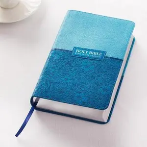 USED-KJV Giant Print Lux-Leather Blue by Christian Art Publishers (Imitation Leather)