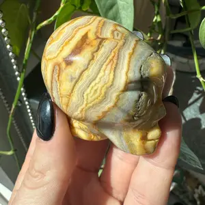 Crazy lace Agate Alien head