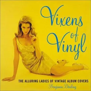 USED-Vixens of Vinyl: The Alluring Ladies of Vintage Album Covers by Darling, Benjamin (Hardcover)