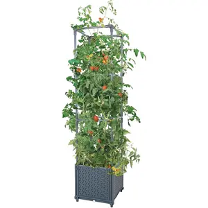 Raised Garden Bed with Trellis – Planter Box & Tomato Cage for Climbing Vegetables