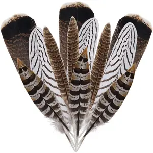 12 count  Pheasant Feathers 10-30cm 4 Style Feathers Mixed Feathers for DIY Craft Wedding Home Party Decorations