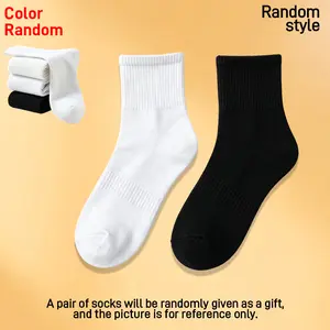 Socks Socks