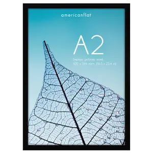 Picture Frame | Poster Frame | Wall Decor | For Photos Documents and Artwork