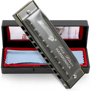 Deluxe Harmonica Key of C, 10 Holes 20  Mouth Organ Diatonic Blues Harmonica For Adults, Beginners, Professionals and Students, as a ( grey)