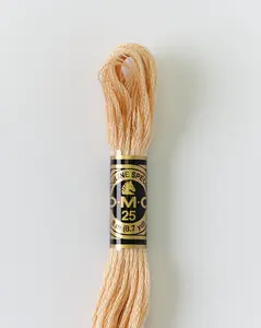 DMC Embroidery Stranded Thread - Six-Strand Embroidery Floss - 945 - Champagne