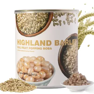 T&Tea Barley-Inspired Vegan Pulp Popping Boba Pearls, 1.87 LB – No Added Sugar,Grain-Infused Bursting Boba with Barley-Based Pulp, Layered Chewy Texture for Bubble Tea, Milk Tea, Smoothies, Desserts & Ice Cream