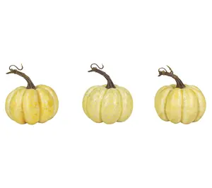 Northlight 4" Antiqued Harvest Pumpkins Set of3