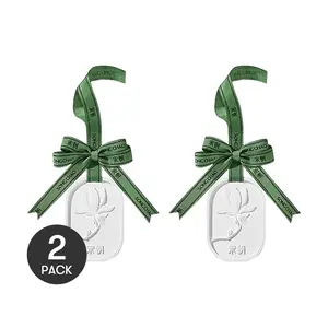 2 Pack SONG CHAO Diatomaceous Earth Scented Hanging Diffuser - Osmanthus Fragrance for Closets, Cars, and Home - Long Lasting Aroma Stone