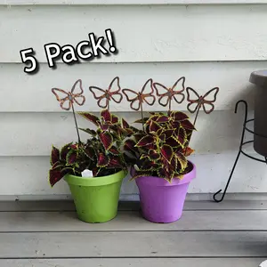Butterfly Plant Stakes ( 5 pack )