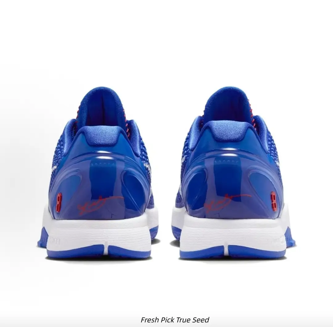 Royal Blue Mesh Low Top Basketball Sneakers Silver Metallic Logo White Midsole Lightweight Anti-Slip Court Training Athletic Shoes Unisex