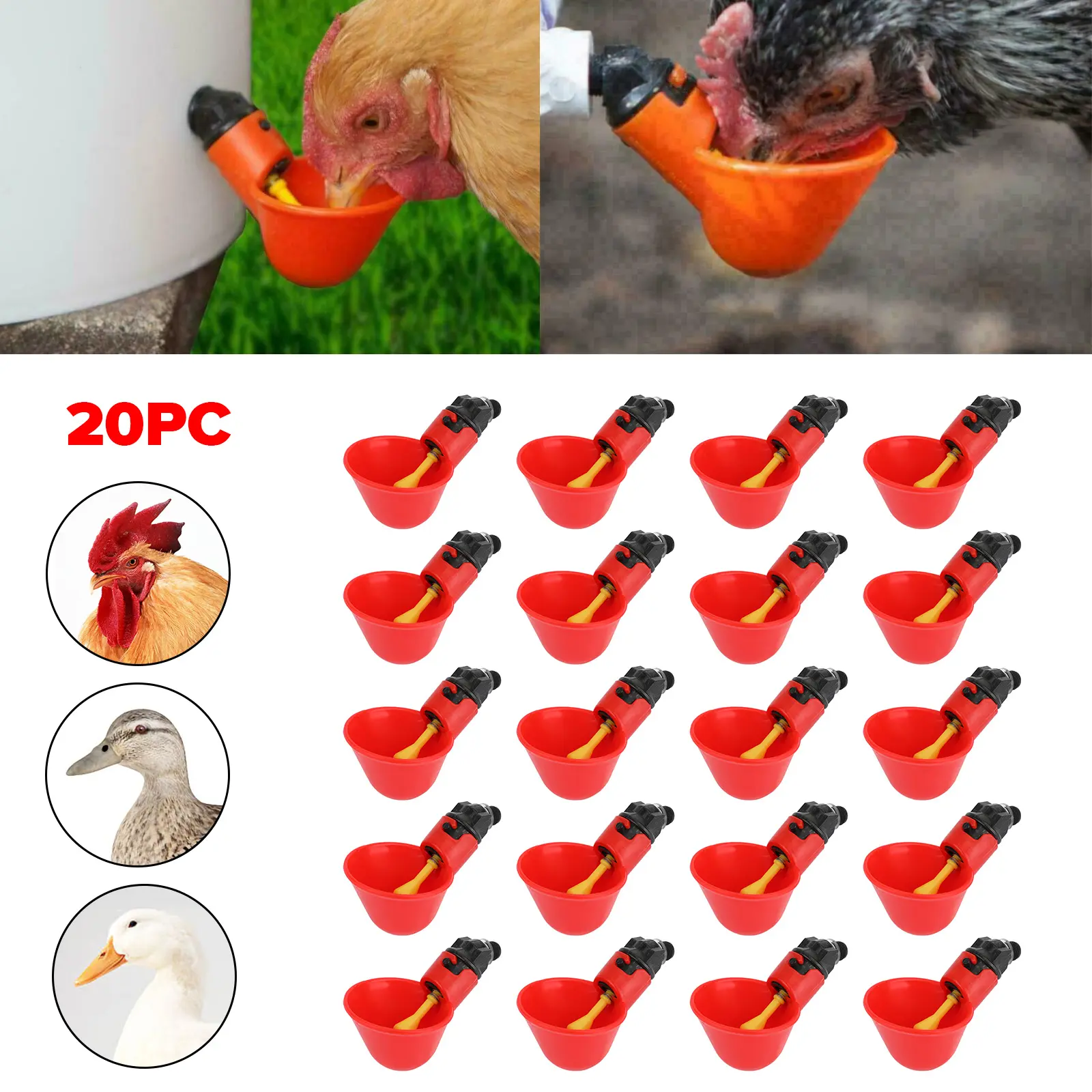 4pcs/20pcs Water Drinking Cups Chicken Waterer Automatic Poultry Drinkers