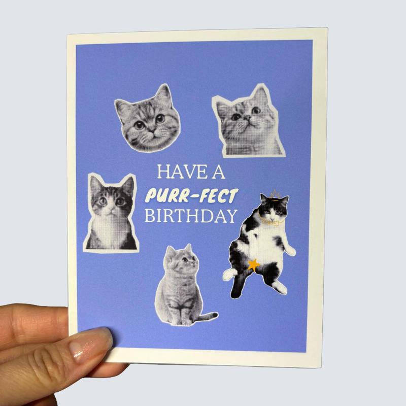12 Pack - Cute Unique Dogs and Cats Greeting Cards with "Happy Birthday, Motivational" Design - Vibrant Blue Background & 1 Card & 1 Envelope Favorite Person