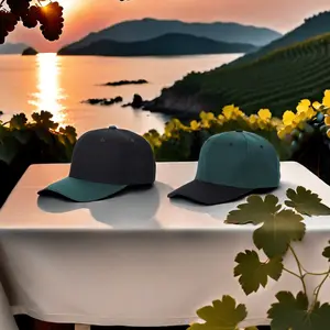HipHopHats 2-Pack Mixed Design Baseball Cap Collection