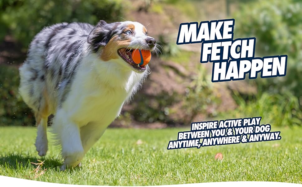 Chuckit! Ultra Ball Dog Toy - Medium Bouncy Fetch Balls For Dogs 20-60 lbs - Made from Durable Rubber - Floating Water Pet Toys - Size Medium - 2.5-inch Diameter - Pack of 2