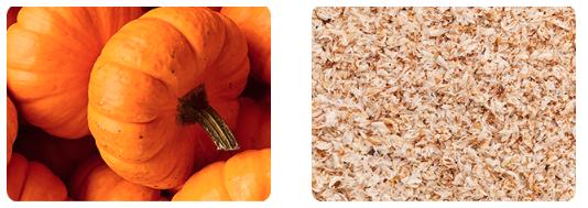 FINN Pumpkin Plus Superfood Meal Topper for Dogs - Fast-Acting Digestive Relief, Supports Digestive Health, Soothes Sensitive Stomachs with Pumpkin, Psyllium Husk, Apple, Sweet Potato, & Blueberry – 8oz Powder Supplements FINN Pumpkin Plus Superfood Meal Topper for Dogs - Fast-Acting Digestive Relief, Supports Digestive Health, Soothes Sensitive Stomachs with Pumpkin, Psyllium Husk, Apple, Sweet Potato, & Blueberry – 8oz Powder Supplements