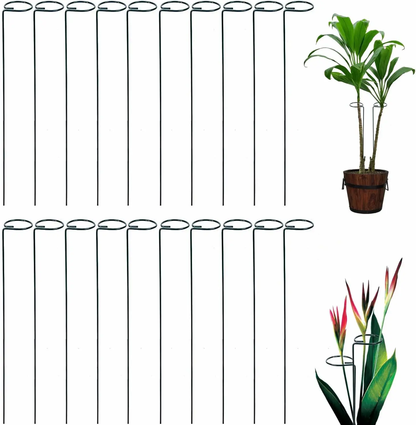 24 Inches Single Stem Plant Support Stakes Steel Garden Stakes Plant Atem Support, Pack of 20 for Summer Garden Projects, Tomato Plant Support & New Home Yard Setup, summerwins Deals For You