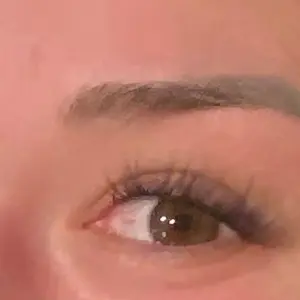 Pro Seal Lash Sealer