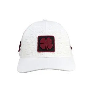 South Carolina Laser