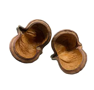 Sterculia Pods (Large)