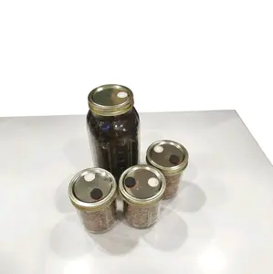 3 Jars of Sterilized Rye Berries Grain Spawn And 64oz Bulk Substrate Mushrooms