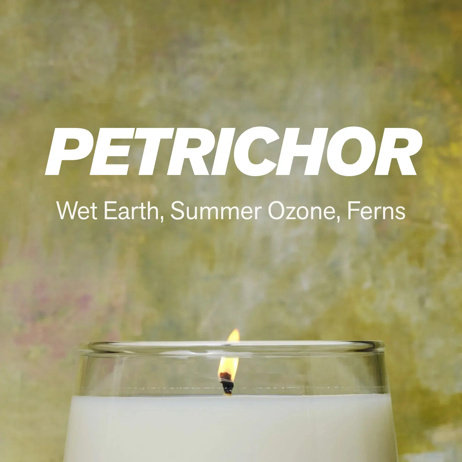 Petrichor Scented Candle | Wet Earth · Summer Ozone · Ferns | The smell of rain on dry soil, a nostalgic earthy home fragrance | Hand-Poured Soy Wax Candle | Pay What You Can