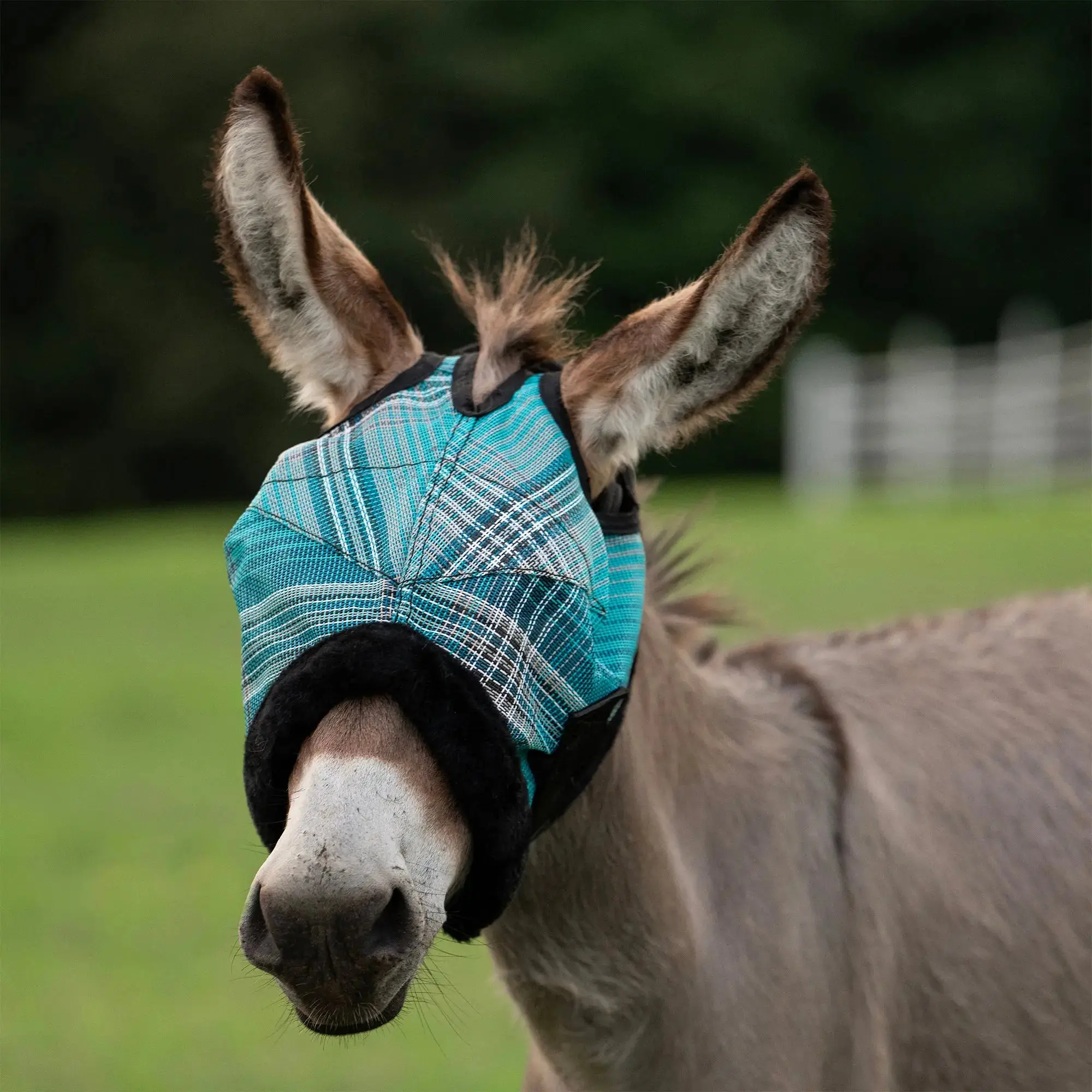 Mini Donkey Fly Mask with Fleece Trim - 73% UV Blocking