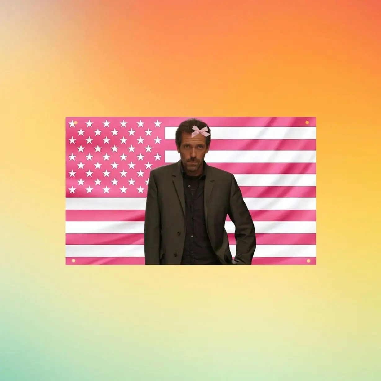 Cute Dr. House Pink American Flag Wall Tapestry, Funny House MD Meme Room Decor, Gregory House Poster Flag, Gift for Medical Drama Fans