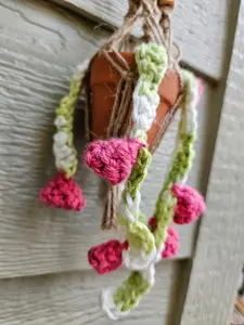Crochet and Macrame Mini Hanging Potted Plant