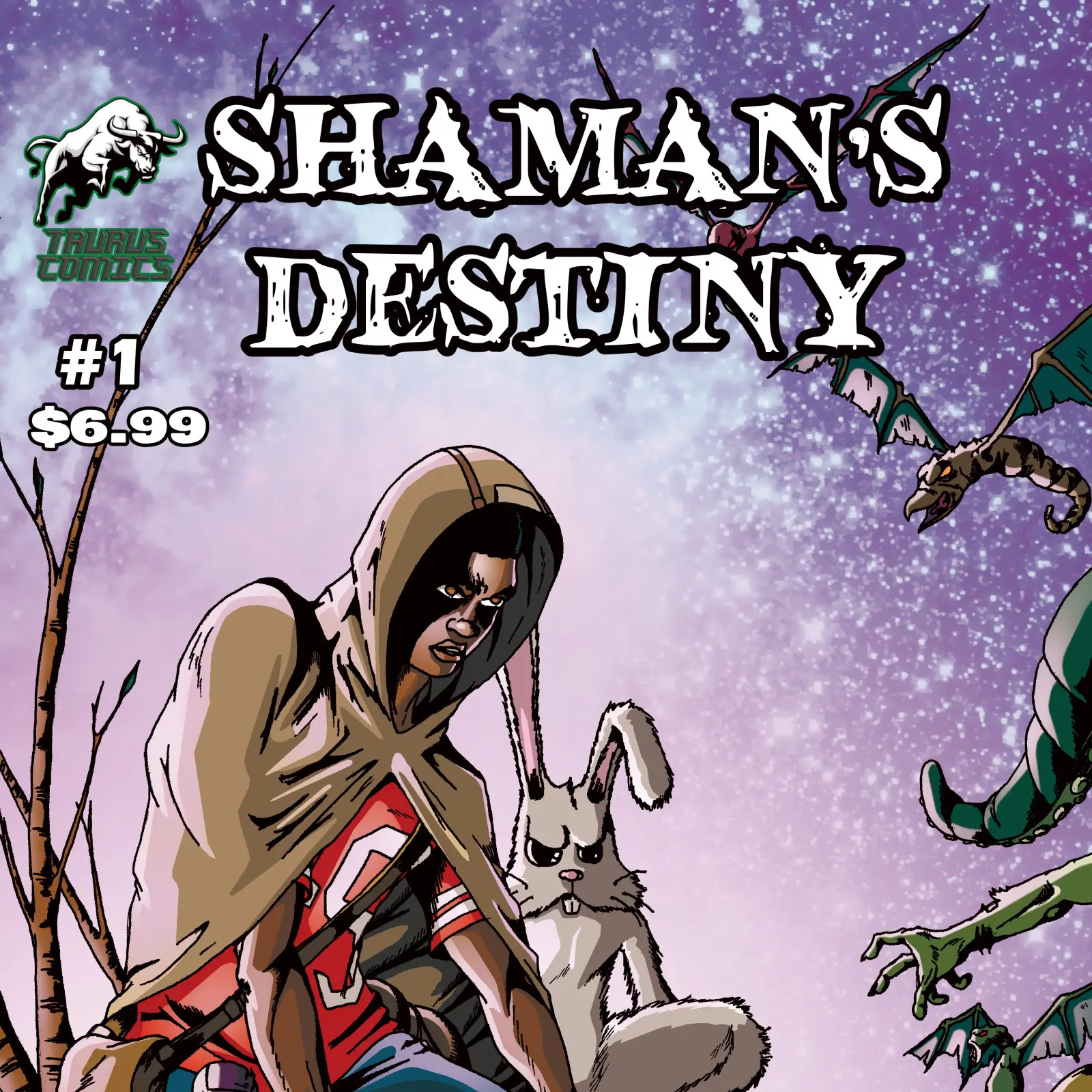 Shaman Destiny issue 1 - physical copy, Soft Cover, Regular Edition