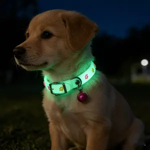 5 Pcs Random Color Pet Light Up Collar, Luminous Collar with Paw Print, Night Safety Anti-Lost, for Small Dogs & Cats