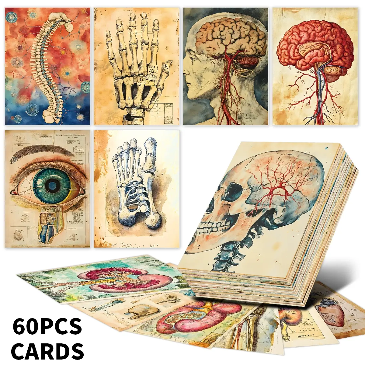 60pcs Vintage Anatomical Journaling Cards - Medical Illustration Ephemera for Junk Journals, Scrapbooks, Collage & Art Projects, Human Anatomy Mini Cards, Gift for Students, Medical and Nursing Staff