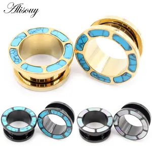 Alisouy 2PCS Stainless Steel Inlay Stone S Thread Ear Gauges Tunnels Plugs Expander Stretcher Earrings Piercing Body Jewelry