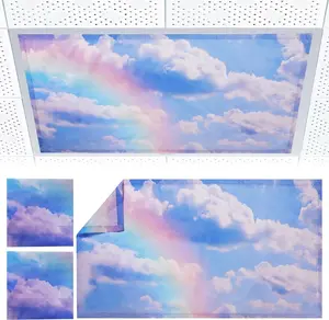 2 count Fluorescent Light Covers - Light Covers for Ceiling Lights Classroom,  Light Filters for Office, Hospitals,  4 x 2  (rainbow)