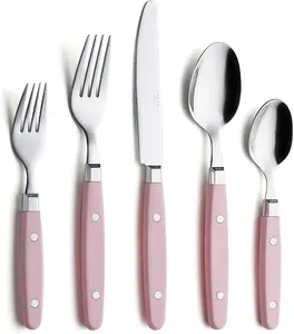 ANNOVA Silverware Set 20 Pieces Stainless Steel Color Handle With Rivet/Retro Flatware - 4 x Dinner Knife; 4 x Dinner Fork; 4 x Salad fork; 4 x Dinner Spoon; 4 x Dessert Spoon (Light Pink, 20 Pieces)