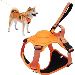 Retractable Leash Set All-in-One Retractable Leash Set All-in-One