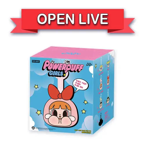 Pop Mart CRYBABY x Powerpuff Girls Series - Vinyl Face Plush Blind